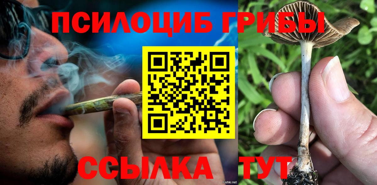 Псилоцибиновые грибы Magic Shrooms Видное